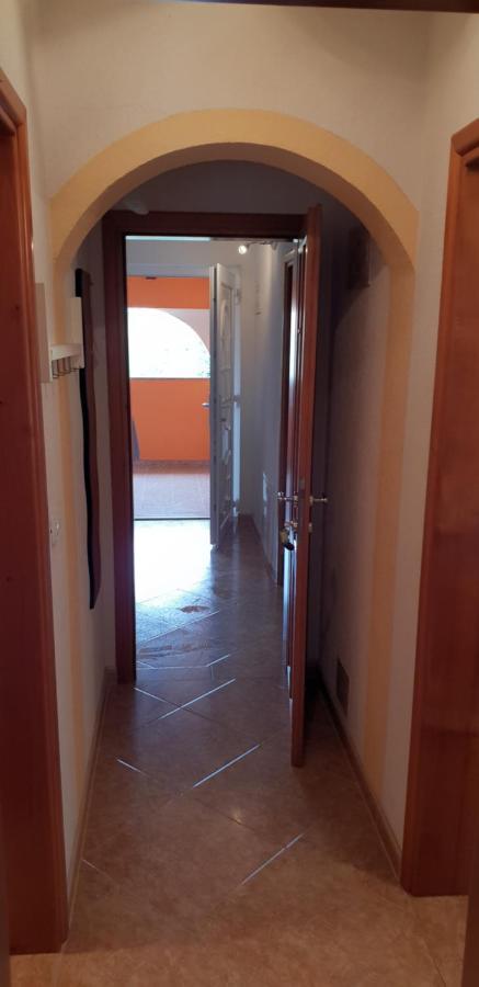 Apartmani Citrus Novigrad Filipac ภายนอก รูปภาพ