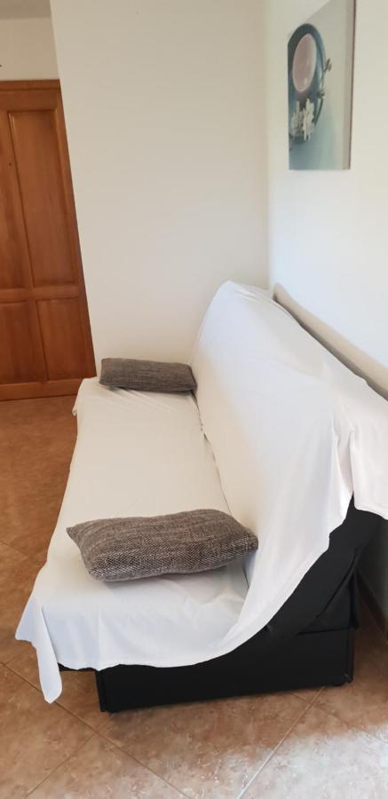 Apartmani Citrus Novigrad Filipac ภายนอก รูปภาพ
