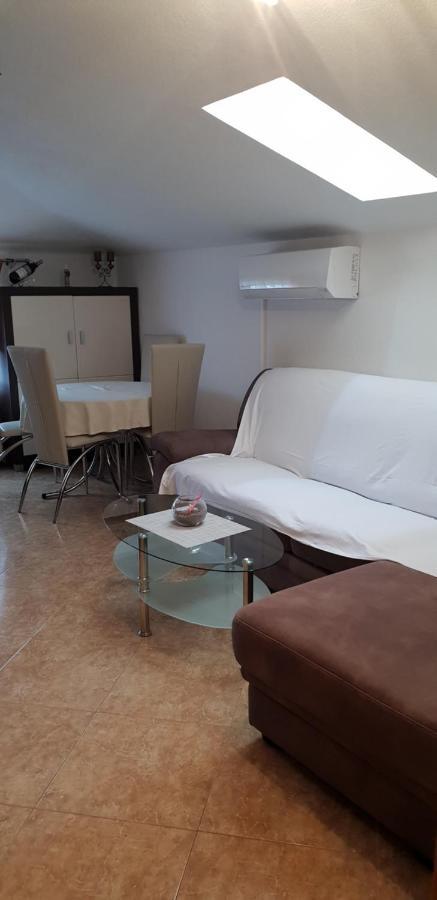 Apartmani Citrus Novigrad Filipac ภายนอก รูปภาพ