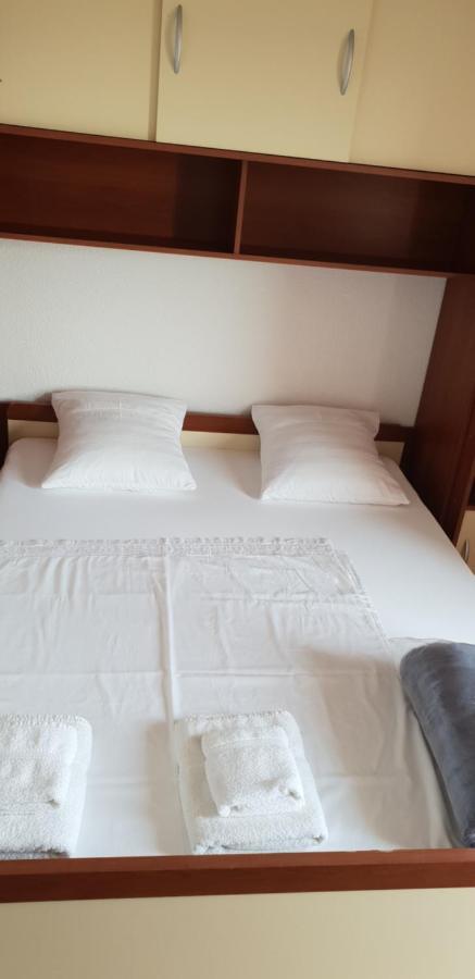 Apartmani Citrus Novigrad Filipac ภายนอก รูปภาพ