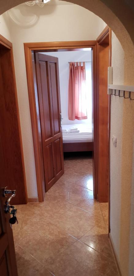 Apartmani Citrus Novigrad Filipac ภายนอก รูปภาพ