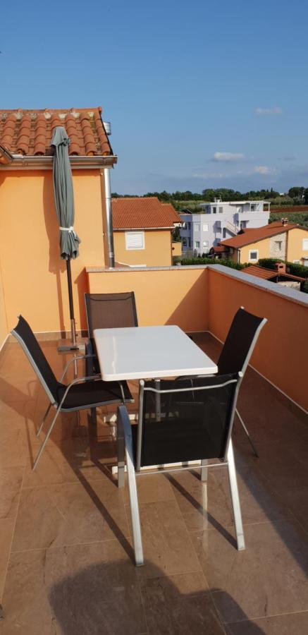 Apartmani Citrus Novigrad Filipac ภายนอก รูปภาพ