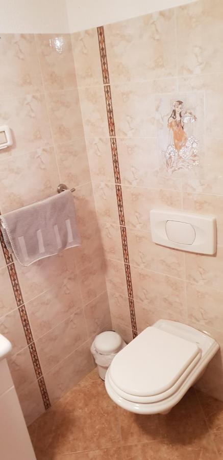 Apartmani Citrus Novigrad Filipac ภายนอก รูปภาพ