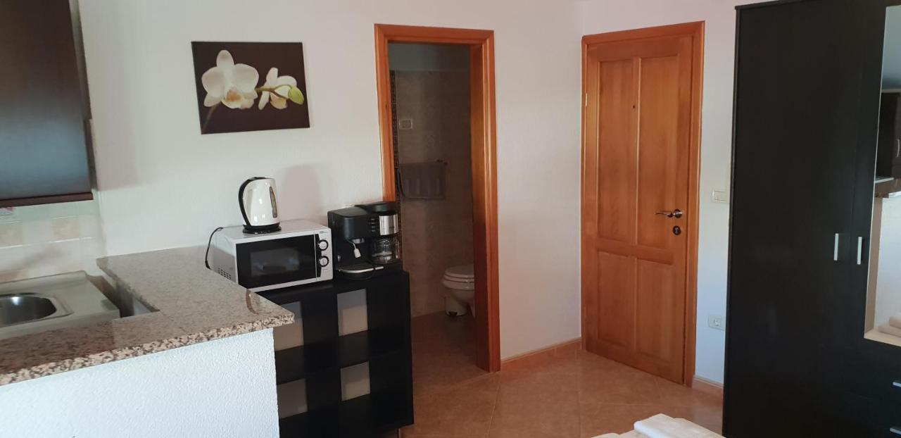 Apartmani Citrus Novigrad Filipac ภายนอก รูปภาพ