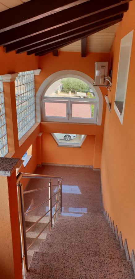 Apartmani Citrus Novigrad Filipac ภายนอก รูปภาพ