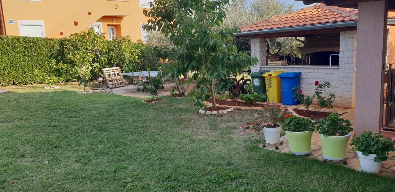Apartmani Citrus Novigrad Filipac ภายนอก รูปภาพ