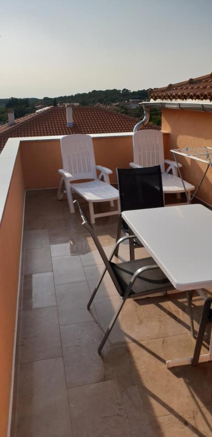 Apartmani Citrus Novigrad Filipac ภายนอก รูปภาพ