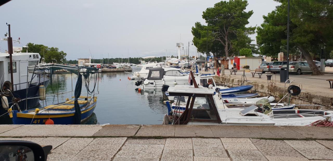 Apartmani Citrus Novigrad Filipac ภายนอก รูปภาพ
